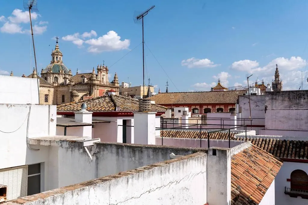 Behouse Sierpes Daire Sevilla İspanya