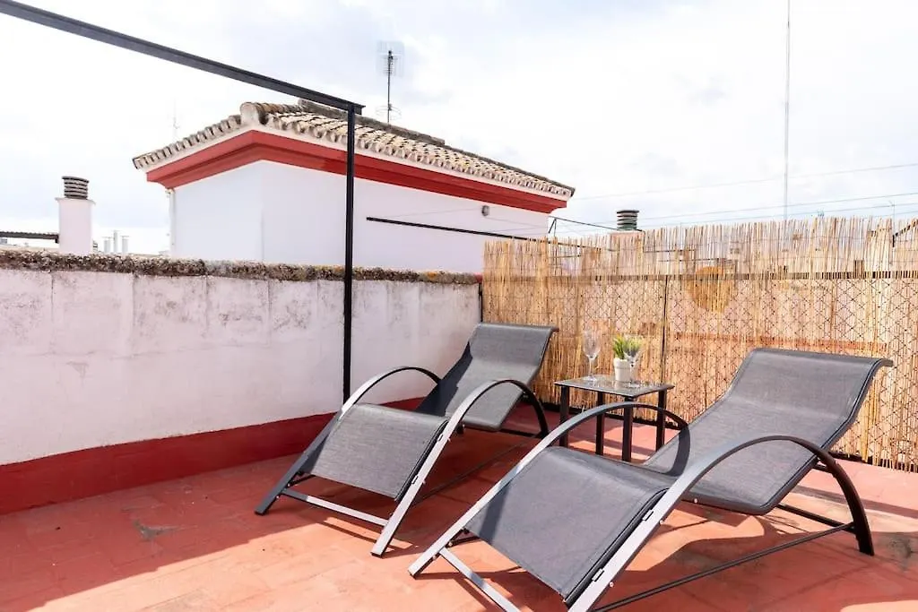 Behouse Sierpes Daire Sevilla